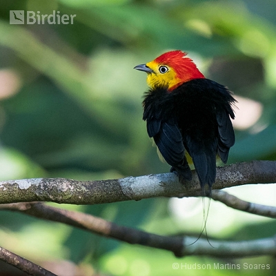 Expedição Amazônas