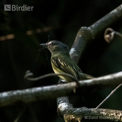Reserva Biológica União / ICMBIO